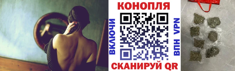 Шишки марихуана семена  где найти   Котельниково 